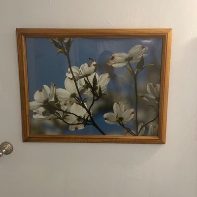 Sale Photo Thumbnail #22