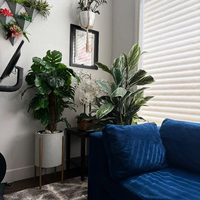 Sale Photo Thumbnail #67: Assorted faux and real plants