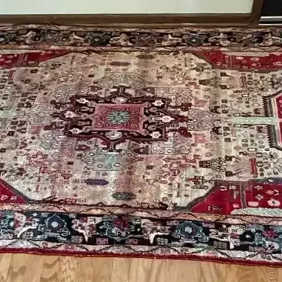 Persian-Style Medallion Area Rug