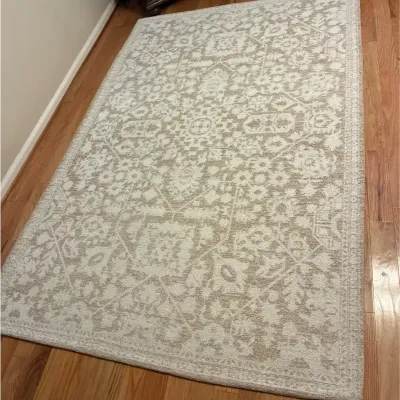 Allen & Roth Area Rug