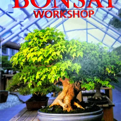 Sale Photo Thumbnail #50