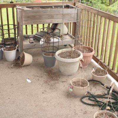 Sale Photo Thumbnail #77