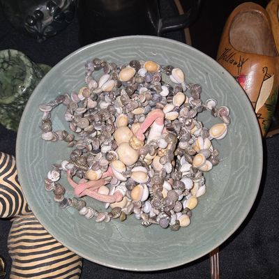 Sale Photo Thumbnail #660: Celadon Glazed Ceramic Bowl with Seashell Collection