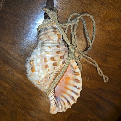 Sale Photo Thumbnail #740: Vintage Triton Conch Shell Trumpet
