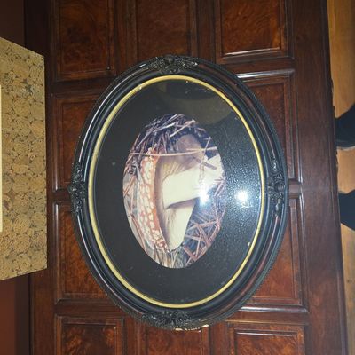 Sale Photo Thumbnail #686: Vintage Oval Mushroom Print in Ornate Frame