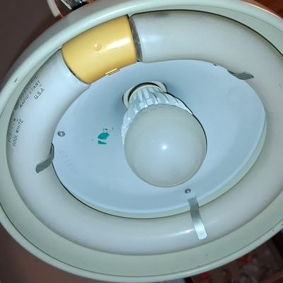 Sale Photo Thumbnail #251: Luxo Color Correct Fluorescent Task Lamp