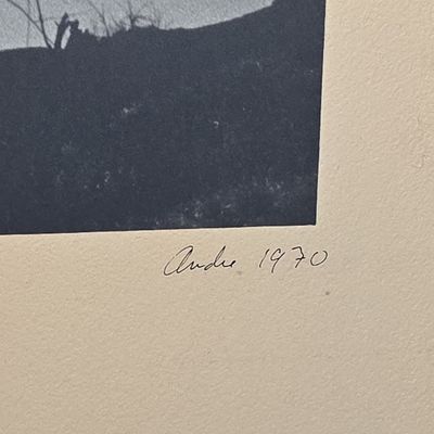 Sale Photo Thumbnail #646: Andre 1970 Landscape Photograph