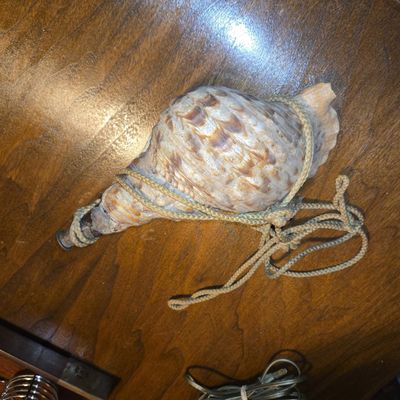 Sale Photo Thumbnail #738: Vintage Triton Conch Shell Trumpet