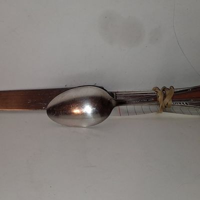 Sale Photo Thumbnail #1028: Wallace Serenade Silverplate Flatware