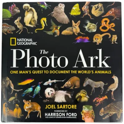 Sale Photo Thumbnail #161