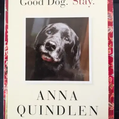 Anna Quindlen Good Dog. Stay. - 2007 First Edition HC