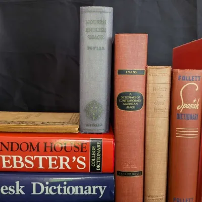 Dictionary and Thesaurus Collection - Websters and More