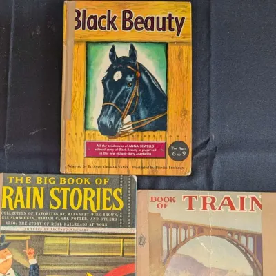 Vintage Childrens Book Collection - Black Beauty and More