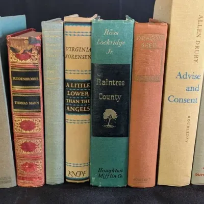 Classic Novel Lot - A Tree Grows in Brooklyn, Raintree