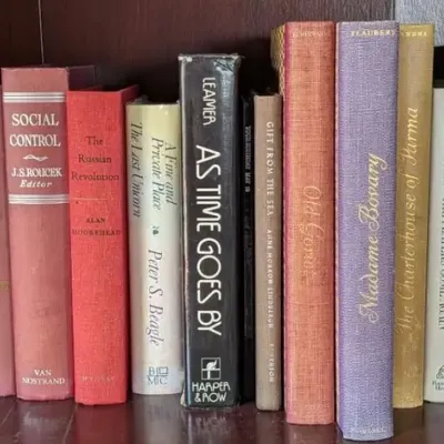 Mystery and Fiction Book Lot - Diane Mott Davidson and More