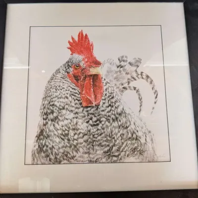 Framed Rooster Portrait Art Print - Signed and Matted Geneva C Welch