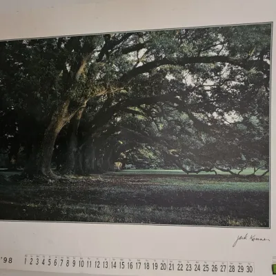 Sale Photo Thumbnail #22