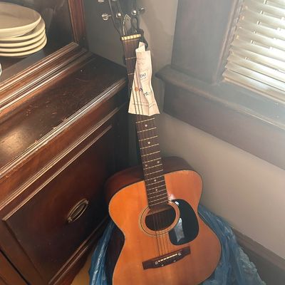 Acoustic guitar