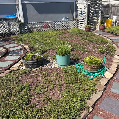 plants and planters, hose