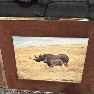 Sale Photo Thumbnail #308