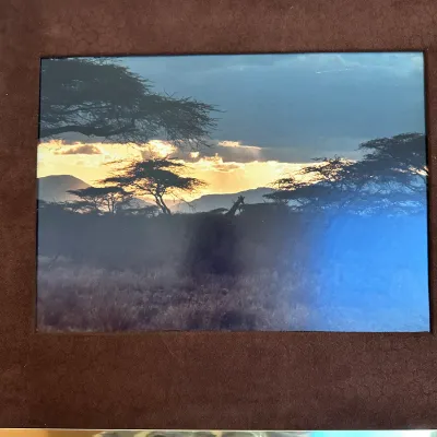 Sale Photo Thumbnail #149