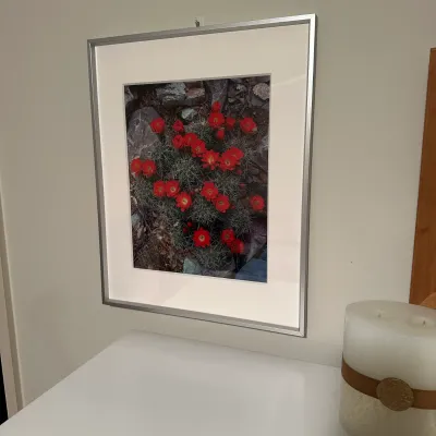 Sale Photo Thumbnail #262