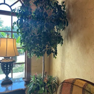 Sale Photo Thumbnail #58: Large artificial decorative tree in an ornate planter with additional greenery at the base. Tall-scale décor appropriate for vaulted ceilings, entryways, clubhouses, or commercial spaces.