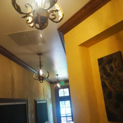 Sale Photo Thumbnail #18: Traditional hanging chandelier featuring ornate iron scrollwork and leaf-inspired detailing in an antiqued finish. A distinctive Old World fixture suitable for a hallway, foyer, or intimate dining area. Buyer responsible for removal.
