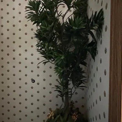 Sale Photo Thumbnail #62: Large artificial tropical tree with dense foliage and a decorative base arrangement. Designed for oversized rooms, lobbies, or high-ceiling residential spaces.