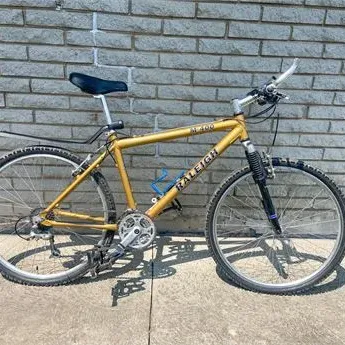 Raleigh m400 mountain bike
