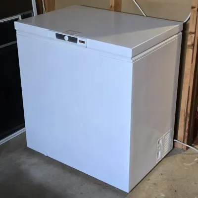 Amana DeepFreeze (B)