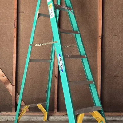 6' Werner Ladder + (G)