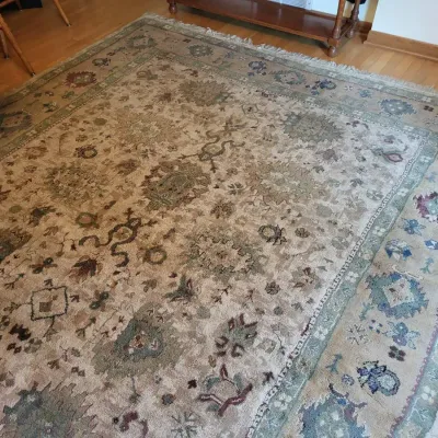 Area Rug by Ancient Inspirations (DR)