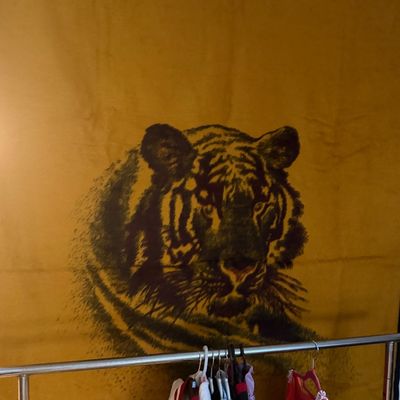 Tiger Blanket