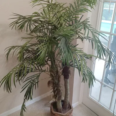 Medium Faux Palm Tree Decor 62 In Tall