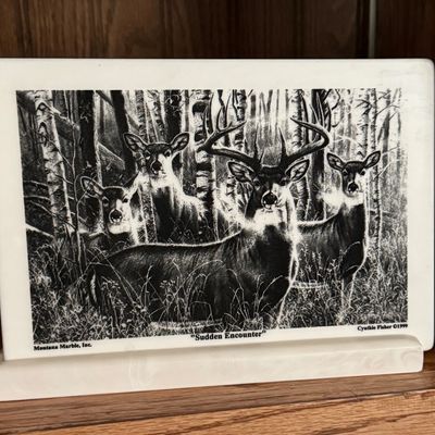 Sale Photo Thumbnail #21