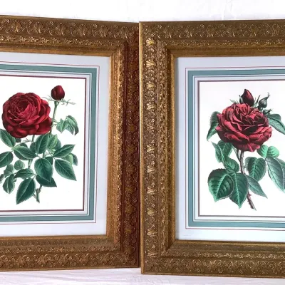 (2) Large Quality Framed Art Prints 