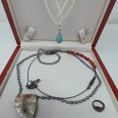 Sterling Silver & Artisan Jewelry Collection - Pearls, Coral, Brooch & Frog Ring