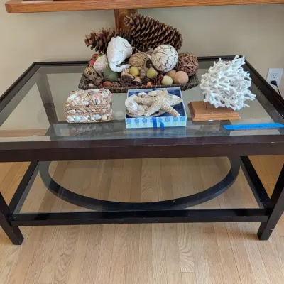Modern Dark Wood Glass-Top Coffee Table 42x30x20 & Coastal Botanical Decor