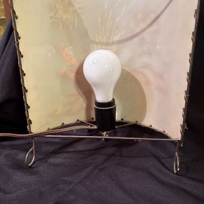 Sale Photo Thumbnail #595: North Dakota artist Ida Lee created this electric wall Lamp sconce using Dakota native grasses and native bird feathers. She is also known for her wall pictures under her name of Ida Prokop Bisek, Ida Lee Prokop or Ida Lee Prokop Bisek. This sconce is app