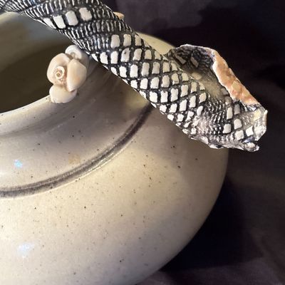 Sale Photo Thumbnail #20: Bill Campbell is known for his porcelain vessels & layered glazes. This vase features flowers as well as snake skin depiction.