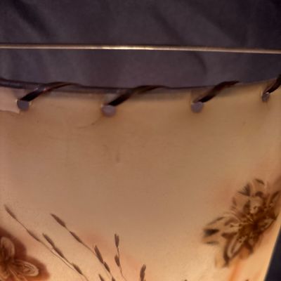 Sale Photo Thumbnail #597: North Dakota artist Ida Lee created this electric wall Lamp sconce using Dakota native grasses and native bird feathers. She is also known for her wall pictures under her name of Ida Prokop Bisek, Ida Lee Prokop or Ida Lee Prokop Bisek. This sconce is app