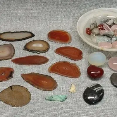Agate Slices, Fossils, Other Stones