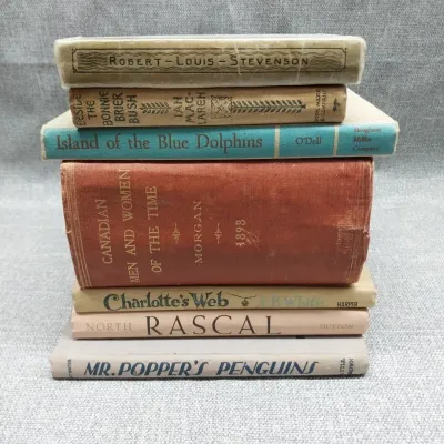 Vintage Book Collection