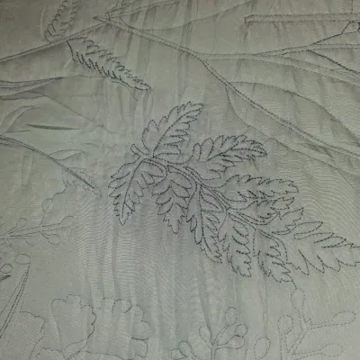 NEW QUEEN SIZE DAISY HAUNG COMFORTER W/ SHEETS