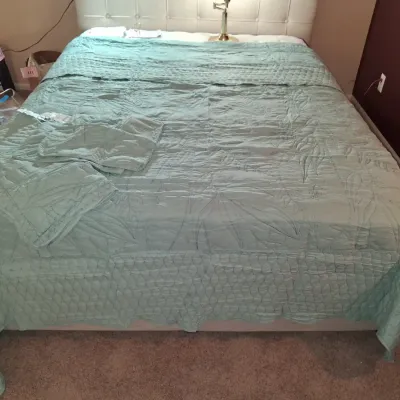 NEW QUEEN SIZE DAISY HAUNG COMFORTER W/ SHEETS