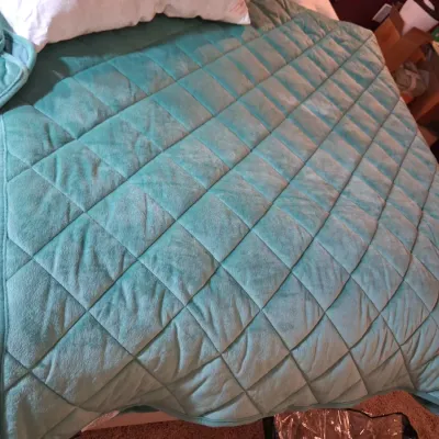 LIKE NEW SOFT QUILTED PLUSH QUEEN COMFORTER AND 2 FEATHER PILLOWS