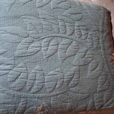 QUEEN SIZE MARCIELO COMFORTER, "MY PILLOW" AND 2ND PILLOW PLUS CURTAINS