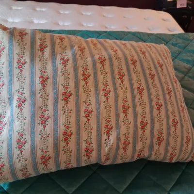 LIKE NEW SOFT QUILTED PLUSH QUEEN COMFORTER AND 2 FEATHER PILLOWS
