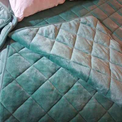 LIKE NEW SOFT QUILTED PLUSH QUEEN COMFORTER AND 2 FEATHER PILLOWS